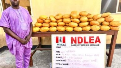 Photo of NDLEA busts ex-LG chief with narcotics hidden in diapers