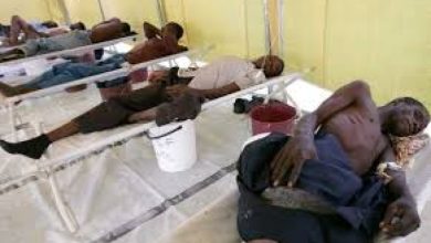 Photo of Death toll from Lassa fever climbs to 146 as Bauchi, Taraba lead fatalities