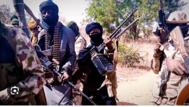 Photo of JUST IN: Six killed as gunmen unleash terror on Zamfara travellers