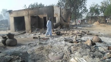 Photo of 12 captives escape from Boko Haram in Borno, 18 killed in fresh Gwoza attack