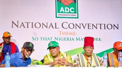 Photo of BREAKING: ADC ratifies David Mark-led NWC, expels Bala, others