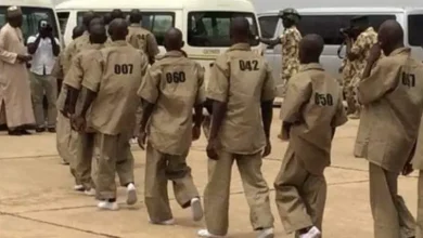 Photo of FG’s move to reintegrate 744 ‘repentant’ terrorists sparks outrage, fear over fresh attacks 
