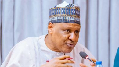 Photo of Jilli airstrike was intelligence-led, FG insists, orders full investigation