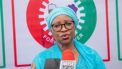 Photo of Court affirms Nenadi Usman as LP leader, faults Abure’s claims of denied fair hearing by trial court