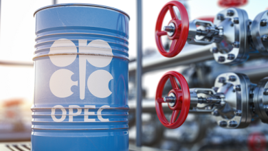 Photo of UAE dumps OPEC in shock exit amid Iran war tensions