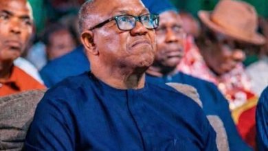 Photo of Peter Obi blasts FG as killings persist, dismisses Bola Ahmed Tinubu’s assurance
