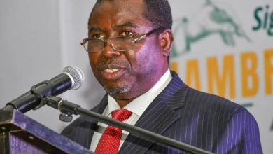 Photo of ADC raises alarm over alleged scheme to disqualify party from 2027 ballot
