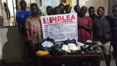 Photo of NDLEA dismantles Abuja drug bunks, arrests 132, recovers 220kg illicit substances
