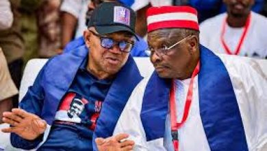 Photo of 2027 Presidency: Why North settled for Peter Obi as most capable ally — Kwankwaso