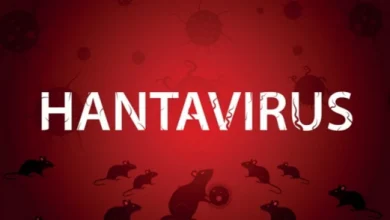 Photo of More Hantavirus cases likely in coming weeks – WHO raises alarm 