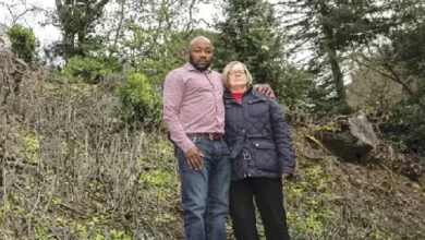 Photo of Nigerian doctor slammed with $1m fine over illegal tree cutting in US